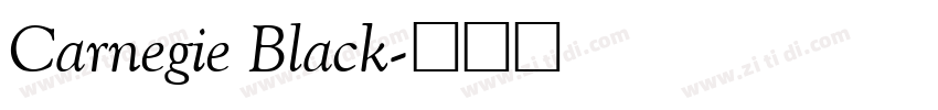Carnegie Black字体转换